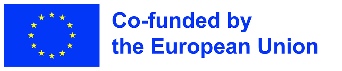 Co-founded by the EU