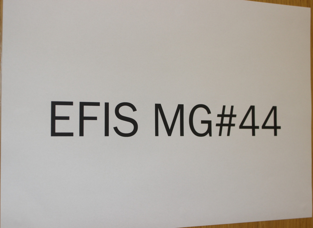  VAS "Elektroniskie sakari" pie sevis uzņem EFIS sanāksmes dalībniekus